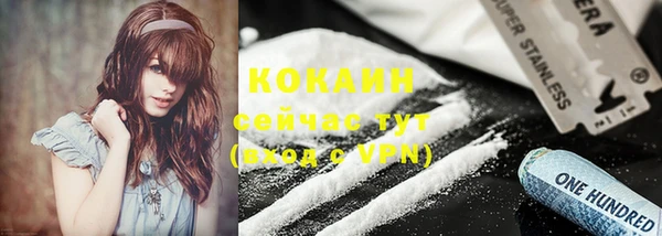шишки Абинск