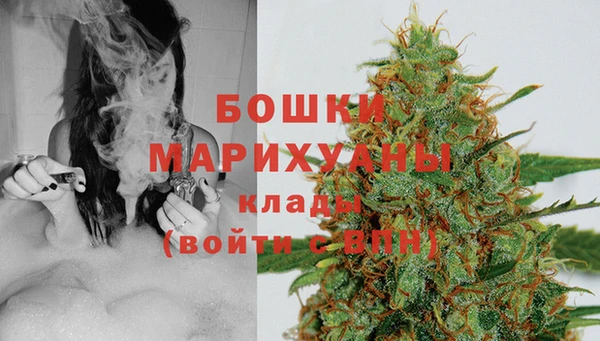 дживик Лихославль