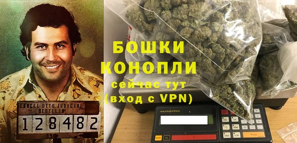 гидра Липки