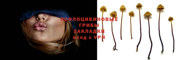 дживик Лихославль