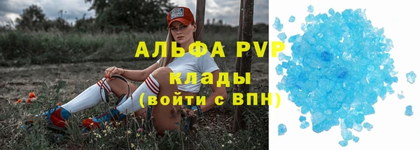 шишки Абинск